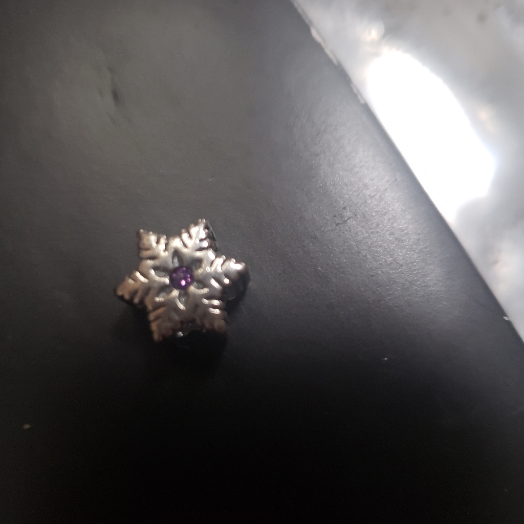 Original Pugster Brand Charm
